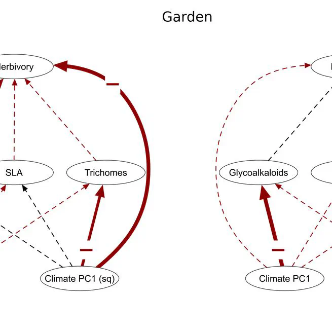 Variation of multiple plant defences and herbivory reveal different patterns of adaptation across a productivity gradient